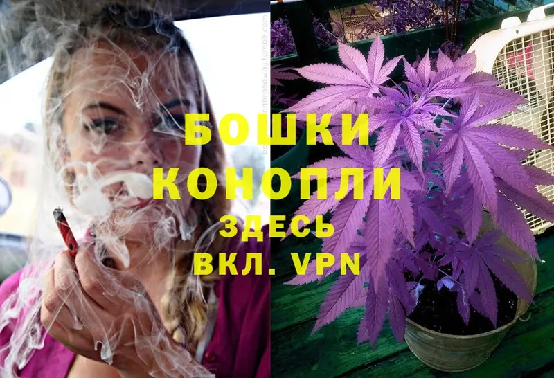 mega вход  как найти закладки  Мостовской  МАРИХУАНА White Widow 